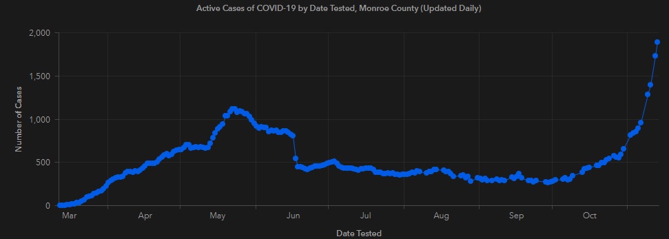 COVID-19+cases+surge+in+New+York+State%2C+Gov.+Cuomo+enacts+new+precautionary+measures