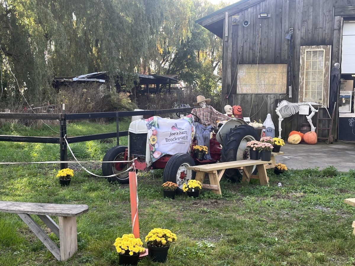 Joes fall decorations around the tractor

Photo Credit: Samantha Valentin and Erin Jones