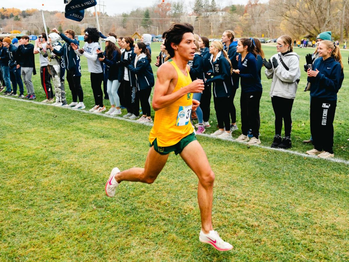 Brockport men's cross country came in second overall at the Empire 8 Championships.