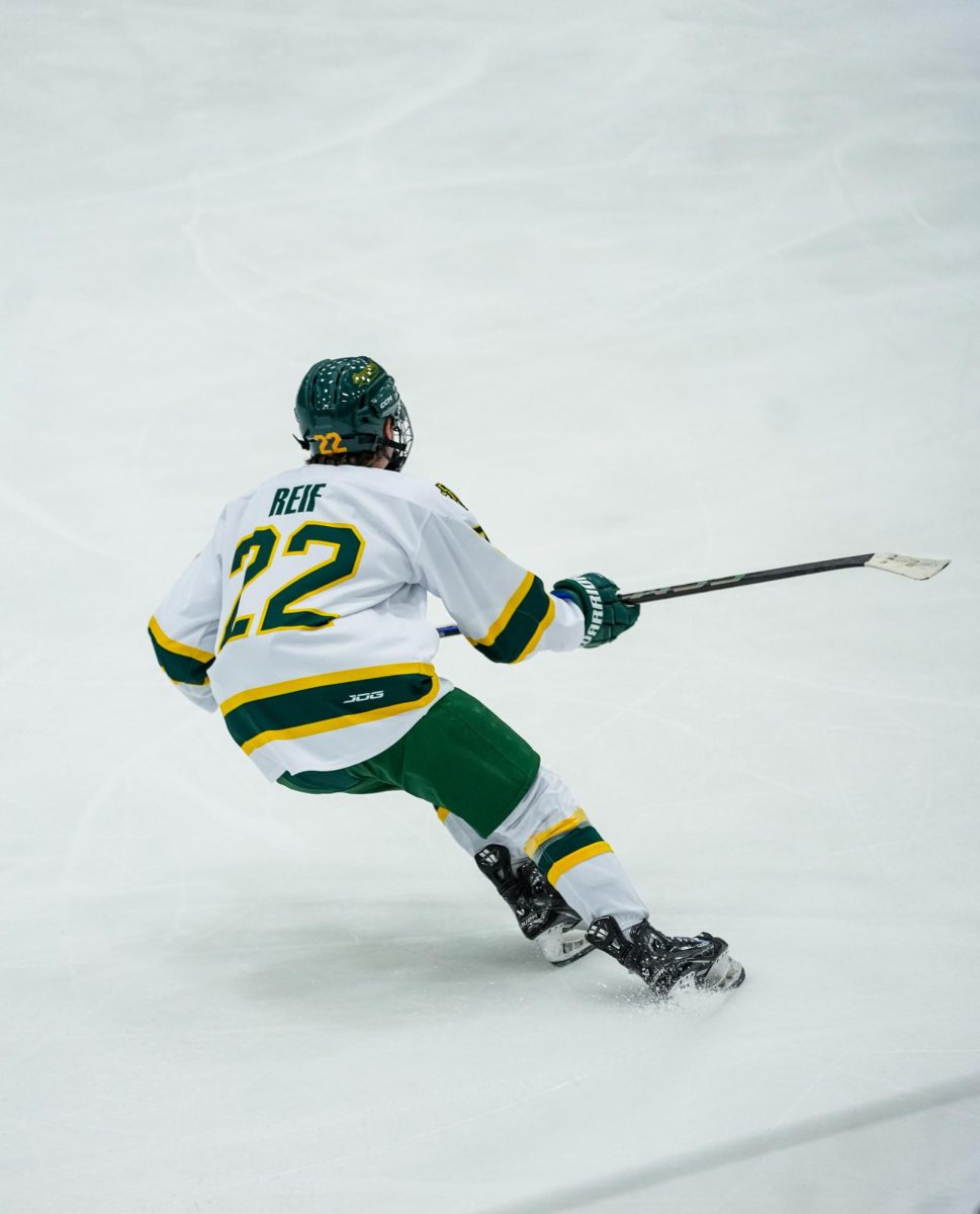 With a successful freshman season, Brockport's Nick Reif received the honor UCHC Rookie of the Year.